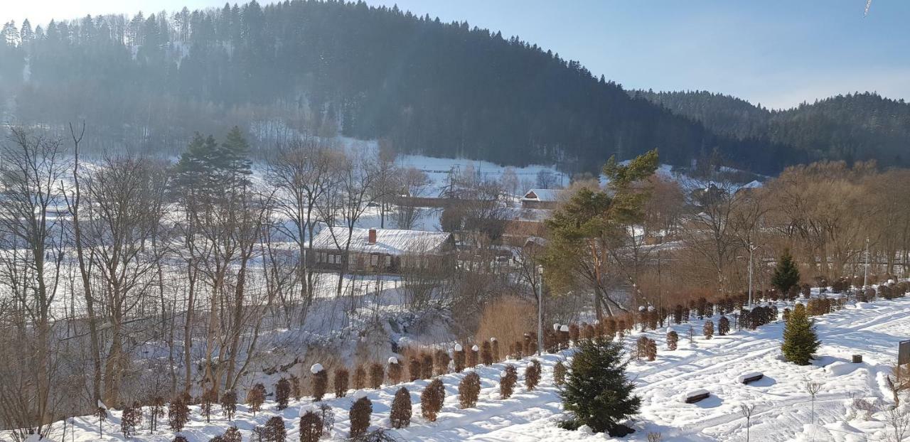 Apartament Czarny Potok Krynica Zdroj Dış mekan fotoğraf